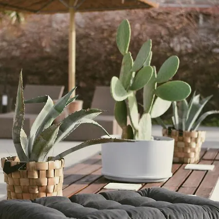 بيت للعطل La Casa Di Lusso N4 - Adults Only *